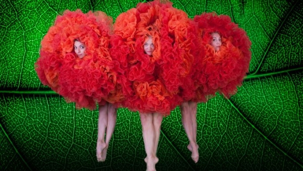 MOMIX (ארה&quot;ב) - נובמבר 2019